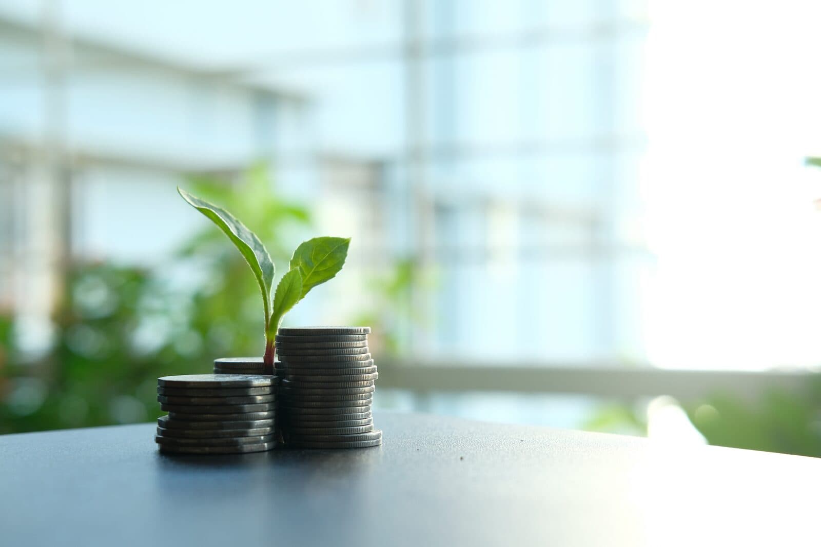 Stacks of coins with a small green plant sprouting from the top, symbolizing financial growth, investment, and sustainable business development